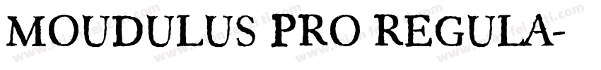MOUDULUS PRO REGULA字体转换